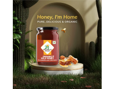 24 Mantra Organic Wild Honey - 250gms | Pack of 1 | Chemical Free & Pesticides Free | Free from Sugar Syrup
