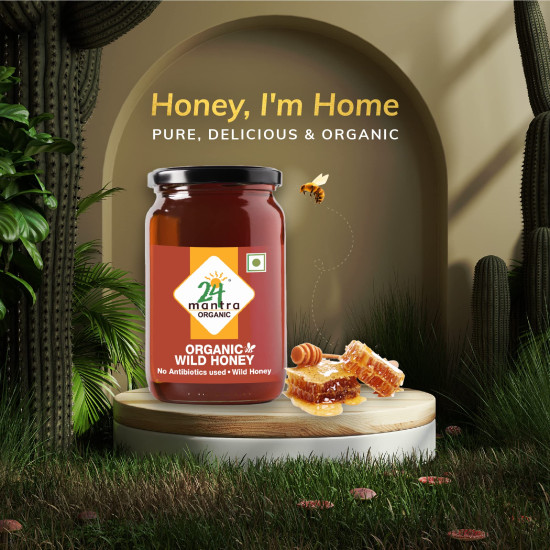 24 Mantra Organic Wild Honey - 250gms | Pack of 1 | Chemical Free & Pesticides Free | Free from Sugar Syrup