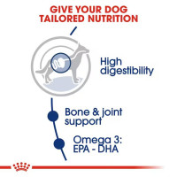 Royal Canin Maxi Adult Dog Food, Dry Food, Supports Digestive Health & Optimal Health, Provides Bone & Joint Support, 1 Kg