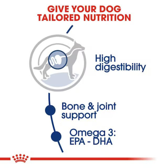 Royal Canin Maxi Adult Dog Food, Dry Food, Supports Digestive Health & Optimal Health, Provides Bone & Joint Support, 1 Kg
