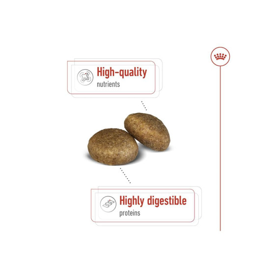 Royal Canin Maxi Adult Dog Food, Dry Food, Supports Digestive Health & Optimal Health, Provides Bone & Joint Support, 1 Kg