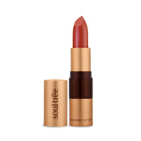 SoulTree Ayurvedic Lipstick - Colour Deep Blush 820, 4gm | Creamy Texture | Enriched with Organic Ghee & Almond Oil | Moistured & Nourished Lips | 4gm