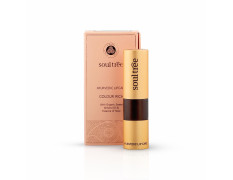 SoulTree Ayurvedic Lipstick - Colour Deep Blush 820, 4gm | Creamy Texture | Enriched with Organic Ghee & Almond Oil | Moistured & Nourished Lips | 4gm