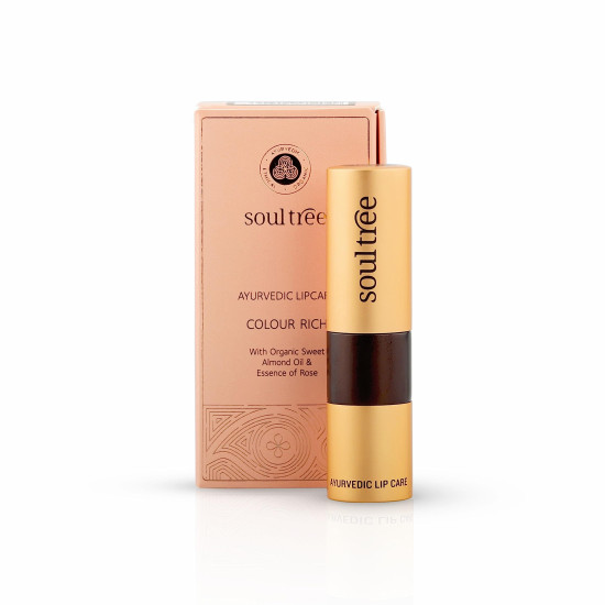 SoulTree Ayurvedic Lipstick - Colour Iced Plum 520, 4gm | Creamy Texture | Enriched with Organic Ghee & Almond Oil | Moistured & Nourished Lips | 4gm