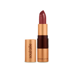 SoulTree Ayurvedic Lipstick - True Brick 813, 4gm | Creamy Texture | Enriched with Organic Ghee & Almond Oil | Moistured & Nourished Lips | 4gm