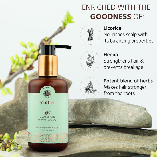 SoulTree Licorice Hair Repair Shampoo with Strengthening Bhringraj – 250ml | Ayurvedic Hair Care for Men & Women | Paraben & Sulfate-Free