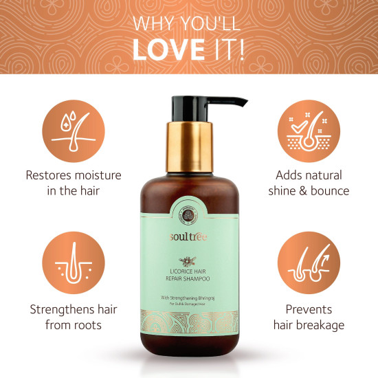 SoulTree Licorice Hair Repair Shampoo with Strengthening Bhringraj – 250ml | Ayurvedic Hair Care for Men & Women | Paraben & Sulfate-Free