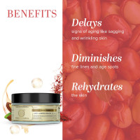 Khadi Natural Anti Ageing Cream, 50g|Prevent premature signs of aging|Reduce wrinkles and spots| Rehydrates skin| Suitable for All Skin Types