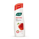 Joy Skin Fruits Lightweight Body Lotion 300ml | with Almond Oil & Jojoba Oil | Suitable For Summers | Non Sticky & Non Greasy Body Lotion For All Skin Types