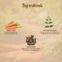 Biotique Carrot Face & Body Sun Lotion | SPF 40 UVA/UVB Sunscreen | Prevents Ageing and Soothes Dry Skin| 100% Botanical Extracts | Suitable for All Skin Types | 50ml