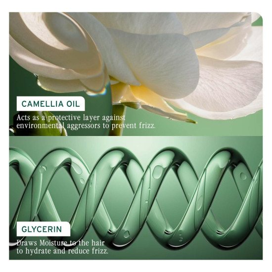 Biolage Smooth Proof Anti-Frizz Shampoo | Up to 72HR Frizz Control | With Camellia Oil & Glycerin | For Dry and Frizzy Hair | For Women and Men | Vegan & Cruelty-Free