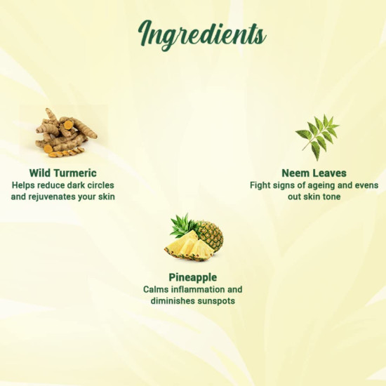 Biotique Pineapple Oil Control Foaming Face Wash | Hydrates dry skin | Eliminates Excess Oil | Evens Skin Tone | 100% Botanical Extracts | Suitable for All Skin Types | 100ml