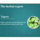 Himalaya Wellness Pure Herbs Tagara Sleep Wellness | Promotes Restful Sleep | - 60 Tablets