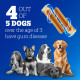 Pedigree Dentastix Oral Care Dog Treat, Adult Medium Breed (10-25 kg), 180 g, Recommended by Vets, Supports Gum Health, Reduces Risk of Gum diseases