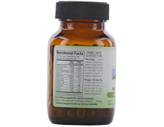 Organic India Moringa 60 Capsules Bottle with free Moringa capsule sample