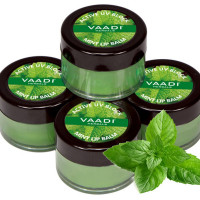 Vaadi Herbals Value Lip Balm, Mint, 4 x 10g Vaadi Herbals Value Lip Balm, Mint, 4 x 10g