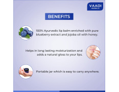 Vaadi Herbals Value Lip Balm, Blueberry, 4 x 10g