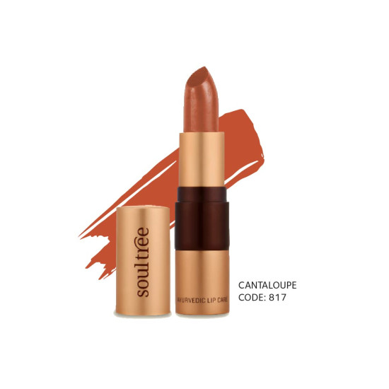 SoulTree Ayurvedic Lipstick - Cantaloupe 817, 4gm | Creamy Texture | Enriched with Organic Ghee & Almond Oil | Moistured & Nourished Lips | 4gm