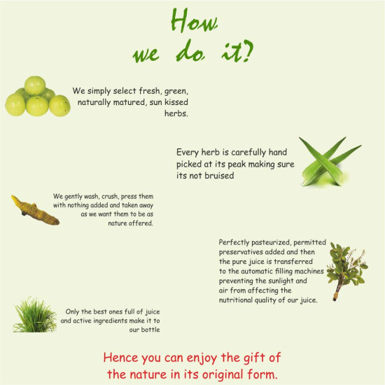 Jeevanras Aloevera & Amla Herbal Juice 1000 Ml|Boosts Immunity|Helps To Purify Blood|Helps In Digestion|Healthy Eyes|100% Natural WHO GMP, GLP Certified Product