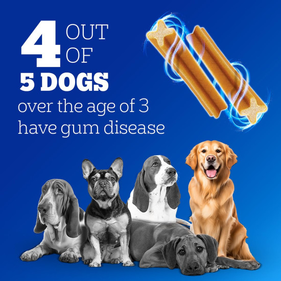 Pedigree Dentastix Oral Care Dog Treat, Adult Small Breed (5-10 kg), 440 g, Recommended by Vets, Supports Gum Health, Reduces Risk of Gum diseases