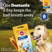 Pedigree Dentastix Oral Care Dog Treat, Adult Medium Breed (10-25 kg), 720 g, Recommended by Vets, Supports Gum Health, Reduces Risk of Gum diseases