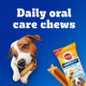 Pedigree Dentastix Oral Care Dog Treat, Adult Medium Breed (10-25 kg), 720 g, Recommended by Vets, Supports Gum Health, Reduces Risk of Gum diseases