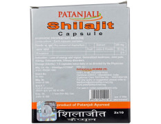 Patanjali Shilajit Strip