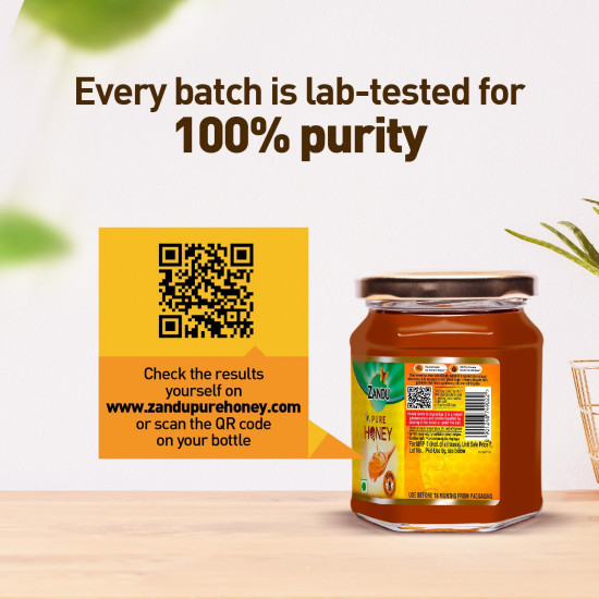 Zandu Pure Honey with Cinnamon, Green Tea & Lemon, 100% Purity, No Added Sugar, 250g