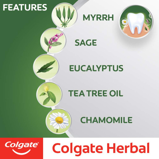 Colgate Herbal Toothpaste, Goodness of Natural Ingredients for Healthy Teeth, 200g