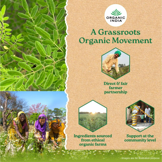 A TATA Product - Organic India Moringa Powder - 100g, Essential Nutrition Superfood, Helps Naturally Boost Energy Levels, Improves Stamina & Vitality, Rich In Vitamins & Minerals