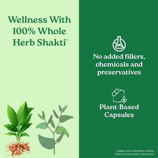 A TATA Product - Organic India Turmeric Formula - 60 Veg Capsules