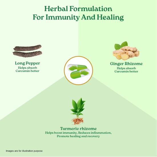 A TATA Product - Organic India Turmeric Formula - 60 Veg Capsules