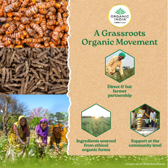 A TATA Product - Organic India Turmeric Formula - 60 Veg Capsules