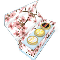 Vaadi Herbals Exotic Radiance Skin Care Herbal Gift Set