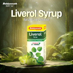 Baidyanath Liverol Syrup - 450 ml | Herbal Formula with Karanja, Kasni, Arjuna, Amla, Giloy, and 20+ Ayurvedic Ingredients