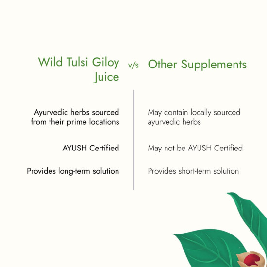Kapiva Wild Tulsi Giloy Juice | Fresh Tulsi and Neem-grown Giloy to Support Immune Health