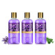 Vaadi Herbals Heavenly Shower Gel, Lavender and Rosemary, 300g (Pack of 3)