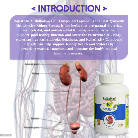 K+ Compound Capsule by Rajasthan Aushdhalaya for | Healthy Kidneys | 60 Capsules K+ Compound Capsule by Rajasthan Aushdhalaya for | Healthy Kidneys | 60 Capsules
