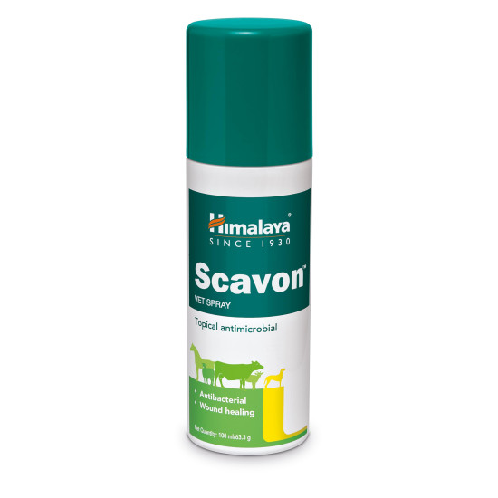 Himalaya Scavon Vet Spray | Antibacterial & Antifungal Formula for Wound Care, Promotes Faster Healing | 100 ml