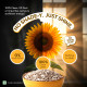 True Elements Sunflower Seeds 500g - Healthy Snack | Raw Seeds for Eating | Fibre Rich Seeds