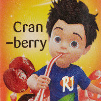 Real Fruit Power , Cranberry Juice – 180ml