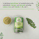 Organic India Moringa Powder 100gm Pack of 2