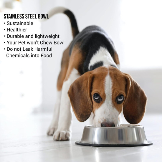 Pets Empire Stainless Steel Dog Bowl, Dog Food Bowl, Dog Feeding Bowl, Medium (Set of 2 x 700ml)