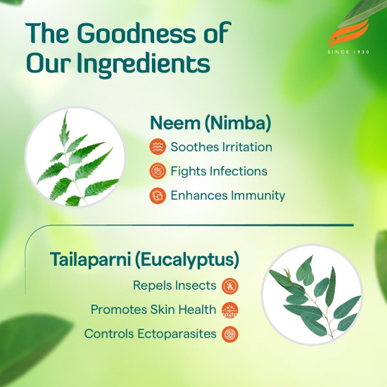 Himalaya Erina-EP Shampoo | 200 ml | Tick & Flea Control for Dogs & Cats | with Neem & Eucalyptus for Skin Health & Hygiene