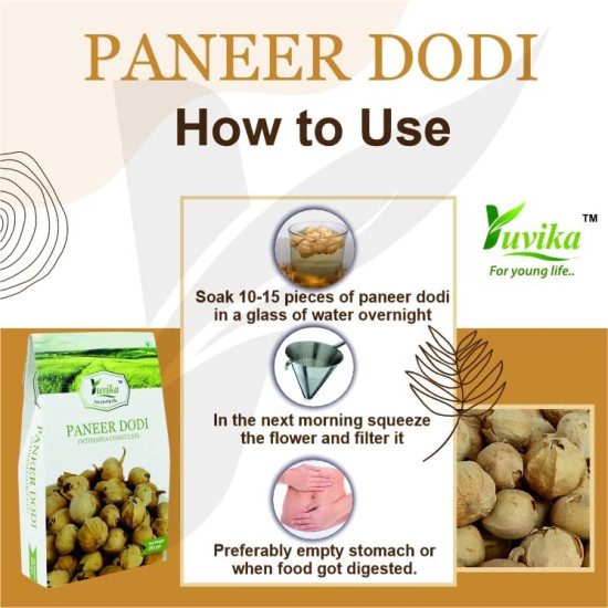 YUVIKA Paneer Dodi - Paneer Ke Phool - Withania Coagulan 250 Grams