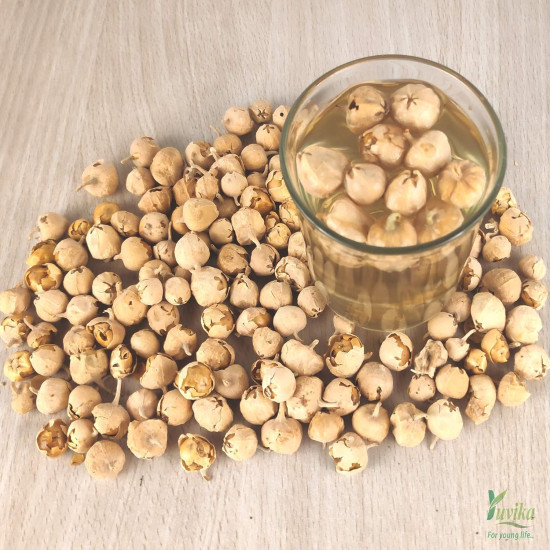 YUVIKA Paneer Dodi - Paneer Ke Phool - Withania Coagulan 250 Grams