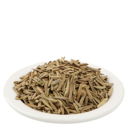 YUVIKA Indrajau Kadwa - Inderjoo Kadwa - Holarrhena Pubescens 100 Grams