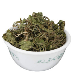 YUVIKA Brahmi Booti - Gotu Kola - Bacopa Monnieri Linn - Indian Pennywort 100 Grams