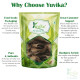 YUVIKA Dandasa - Datoon - Juglans - Walnut Tree Peel 100 Grams