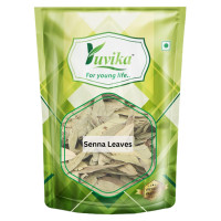 YUVIKA Senna Leaves - Sanay Leaves Spl. - Cassia Angustifolia - Senna Alexandrina 400 Grams